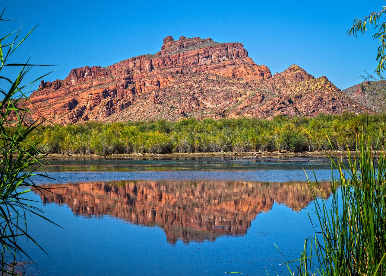 Case Studies Illustration